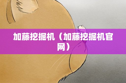 加藤挖掘机（加藤挖掘机官网）