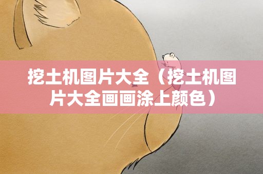 挖土机图片大全（挖土机图片大全画画涂上颜色）