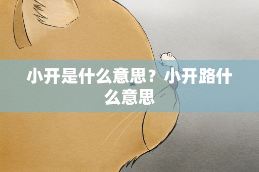 小开是什么意思？小开路什么意思