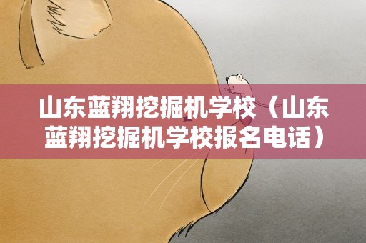山东蓝翔挖掘机学校（山东蓝翔挖掘机学校报名电话）