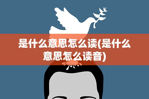 是什么意思怎么读(是什么意思怎么读音)