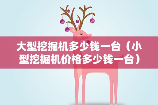 大型挖掘机多少钱一台（小型挖掘机价格多少钱一台）