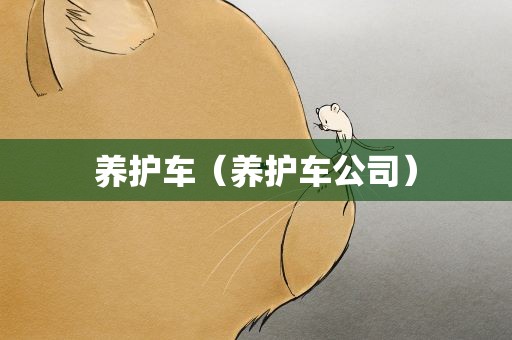 养护车（养护车公司）