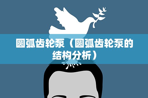 圆弧齿轮泵（圆弧齿轮泵的结构分析）