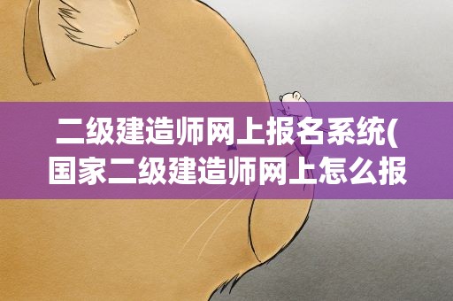 二级建造师网上报名系统(国家二级建造师网上怎么报名)