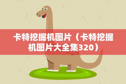 卡特挖掘机图片（卡特挖掘机图片大全集320）