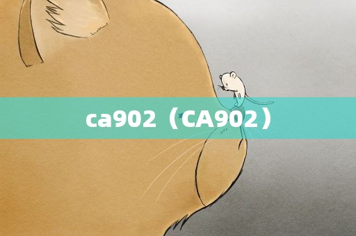 ca902（CA902）