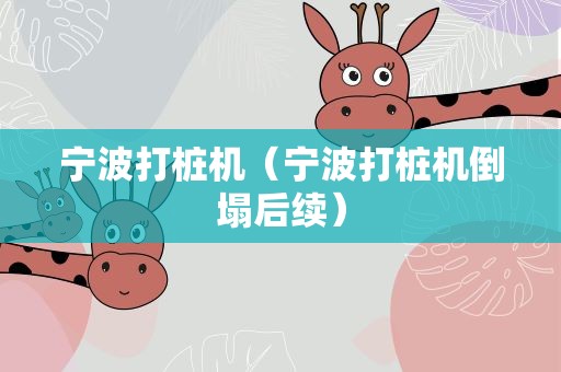 宁波打桩机（宁波打桩机倒塌后续）