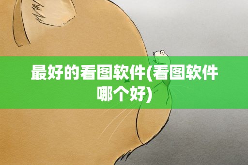 最好的看图软件(看图软件哪个好)