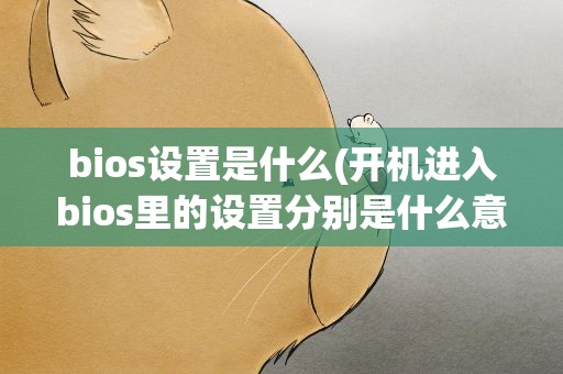 bios设置是什么(开机进入bios里的设置分别是什么意思)