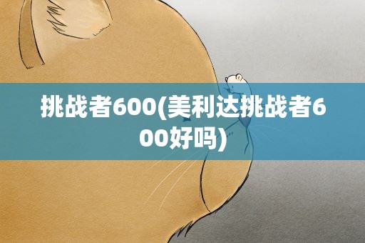 挑战者600(美利达挑战者600好吗)
