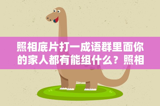 照相底片打一成语群里面你的家人都有能组什么？照相底片打一个成语是什么成语