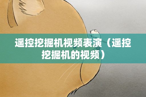 遥控挖掘机视频表演（遥控挖掘机的视频）