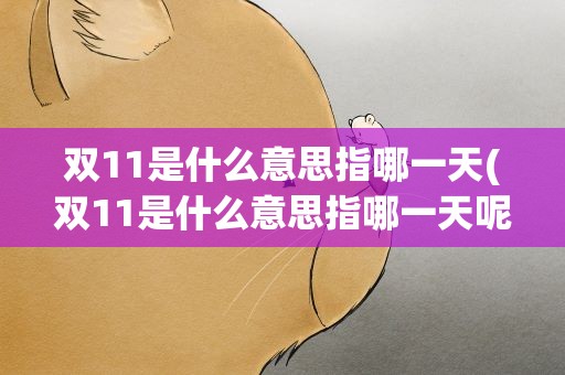 双11是什么意思指哪一天(双11是什么意思指哪一天呢)