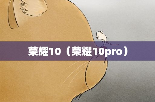 荣耀10（荣耀10pro）