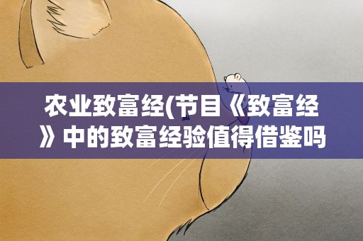 农业致富经(节目《致富经》中的致富经验值得借鉴吗)