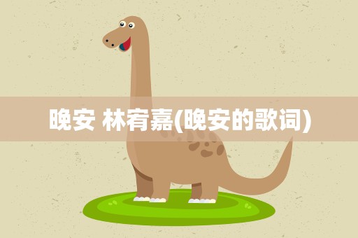 晚安 林宥嘉(晚安的歌词)