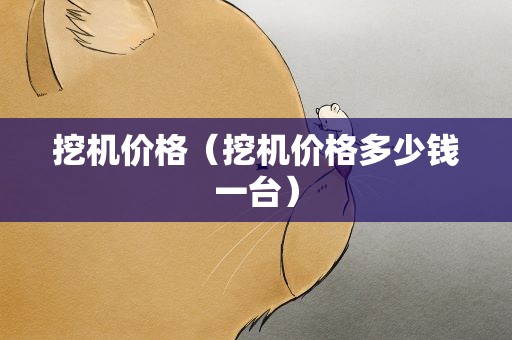 挖机价格（挖机价格多少钱一台）