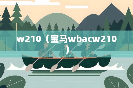 w210（宝马wbacw210）