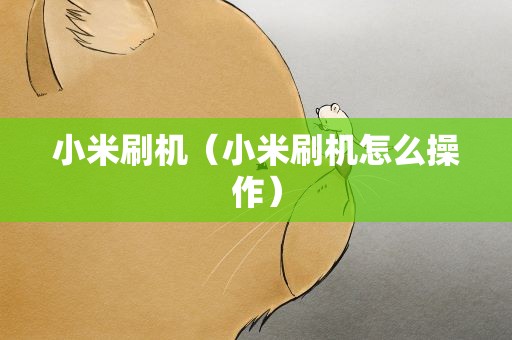 小米刷机（小米刷机怎么操作）
