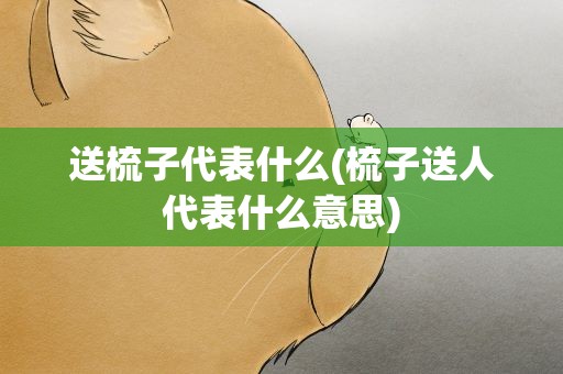 送梳子代表什么(梳子送人代表什么意思)