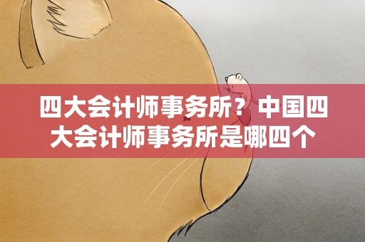 四大会计师事务所？中国四大会计师事务所是哪四个