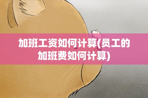加班工资如何计算(员工的加班费如何计算)