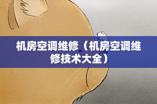 机房空调维修（机房空调维修技术大全）