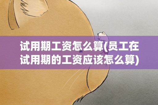 试用期工资怎么算(员工在试用期的工资应该怎么算)