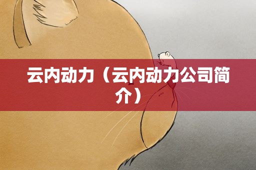 云内动力（云内动力公司简介）
