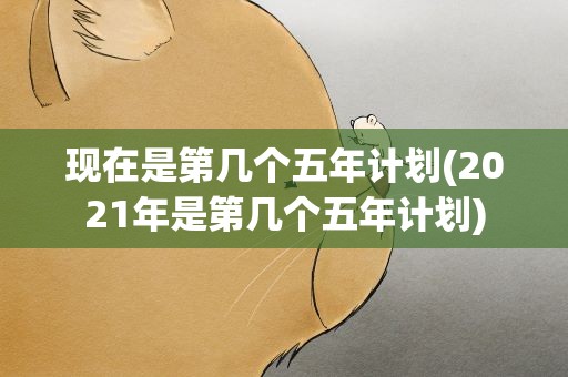 现在是第几个五年计划(2021年是第几个五年计划)