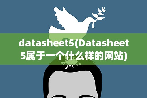 datasheet5(Datasheet5属于一个什么样的网站)