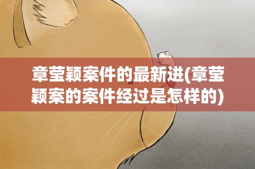 章莹颖案件的最新进(章莹颖案的案件经过是怎样的)