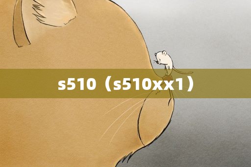s510（s510xx1）