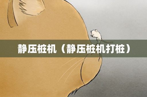 静压桩机（静压桩机打桩）