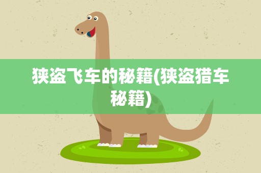 狭盗飞车的秘籍(狭盗猎车秘籍)