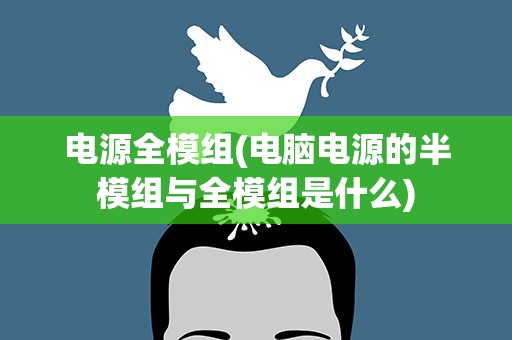 电源全模组(电脑电源的半模组与全模组是什么)