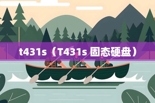 t431s（T431s 固态硬盘）