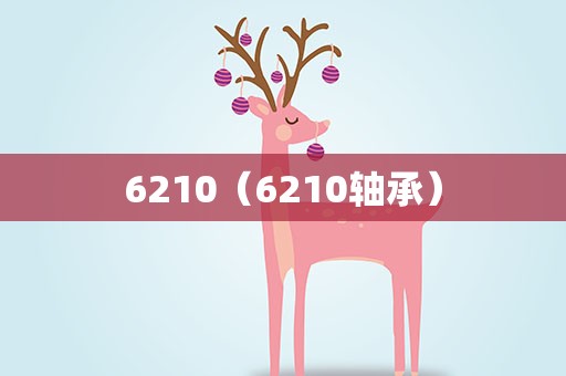 6210（6210轴承）