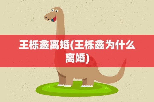 王栎鑫离婚(王栎鑫为什么离婚)