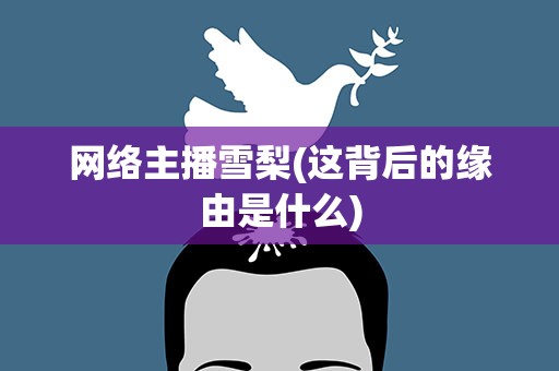 网络主播雪梨(这背后的缘由是什么)