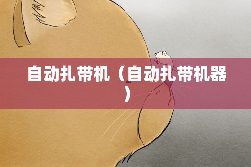 自动扎带机（自动扎带机器）