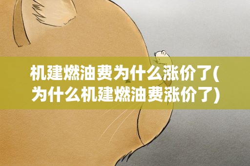 机建燃油费为什么涨价了(为什么机建燃油费涨价了)