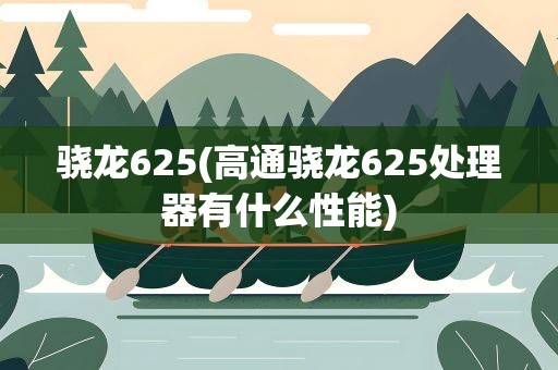 骁龙625(高通骁龙625处理器有什么性能)