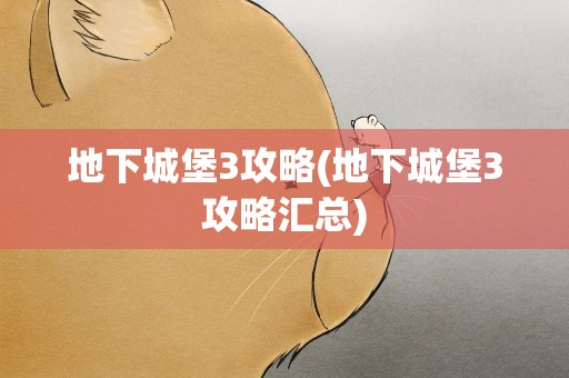 地下城堡3攻略(地下城堡3攻略汇总)