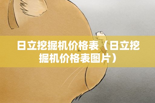 日立挖掘机价格表（日立挖掘机价格表图片）