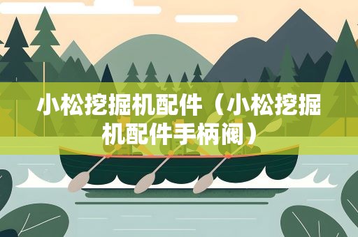 小松挖掘机配件（小松挖掘机配件手柄阀）