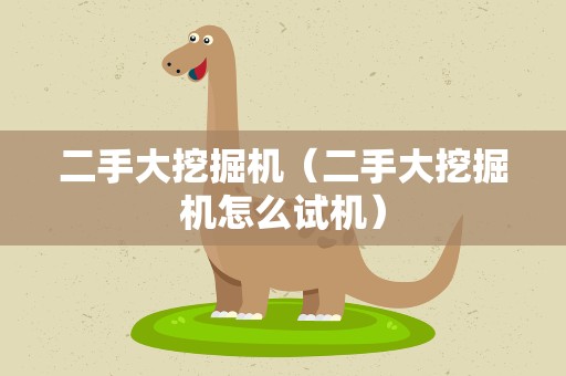 二手大挖掘机（二手大挖掘机怎么试机）