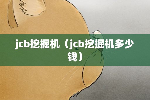 jcb挖掘机（jcb挖掘机多少钱）