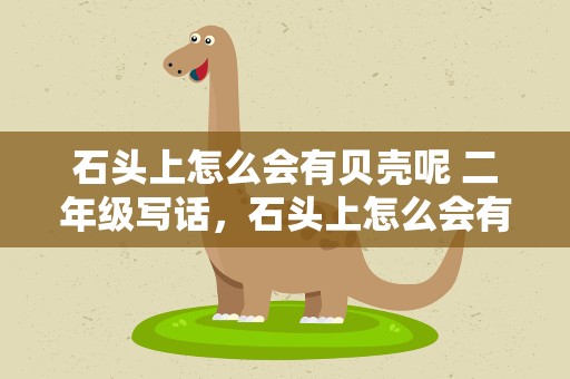 石头上怎么会有贝壳呢 二年级写话，石头上怎么会有贝壳呢二年级写话